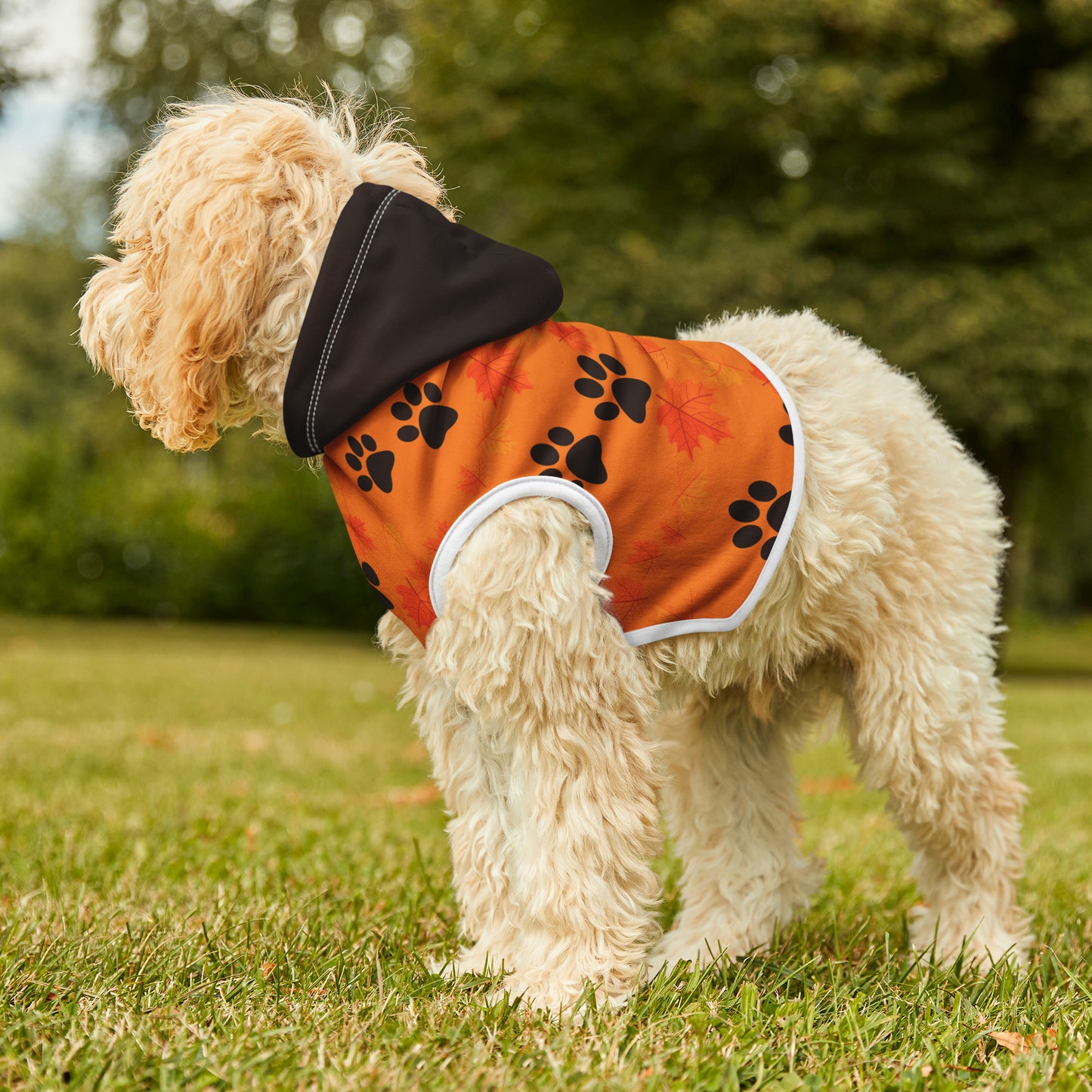 Dog Hoodie - Fall Collection (Light Orange - With Dark Brown Hood)