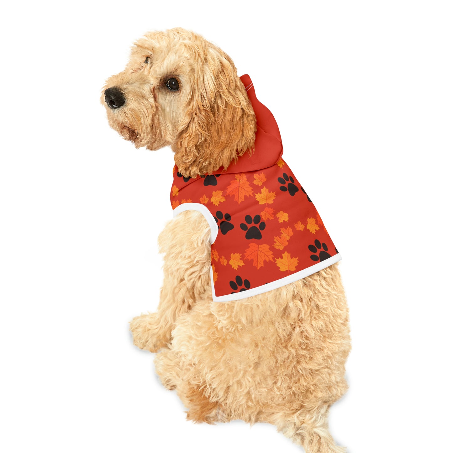 Dog Hoodie - Fall Collection (Dark Orange - with Dark Orange Hood)