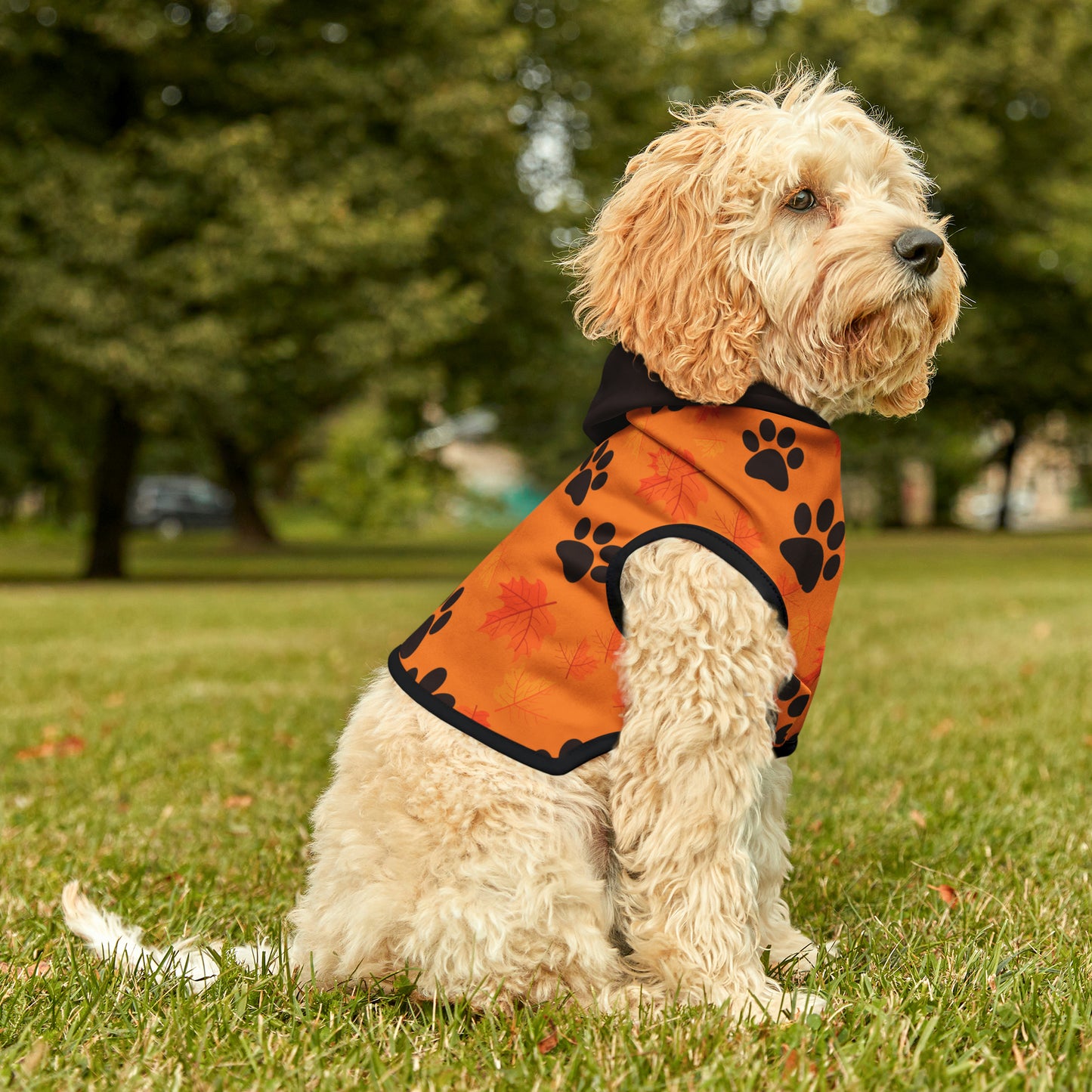 Dog Hoodie - Fall Collection (Light Orange - With Dark Brown Hood)