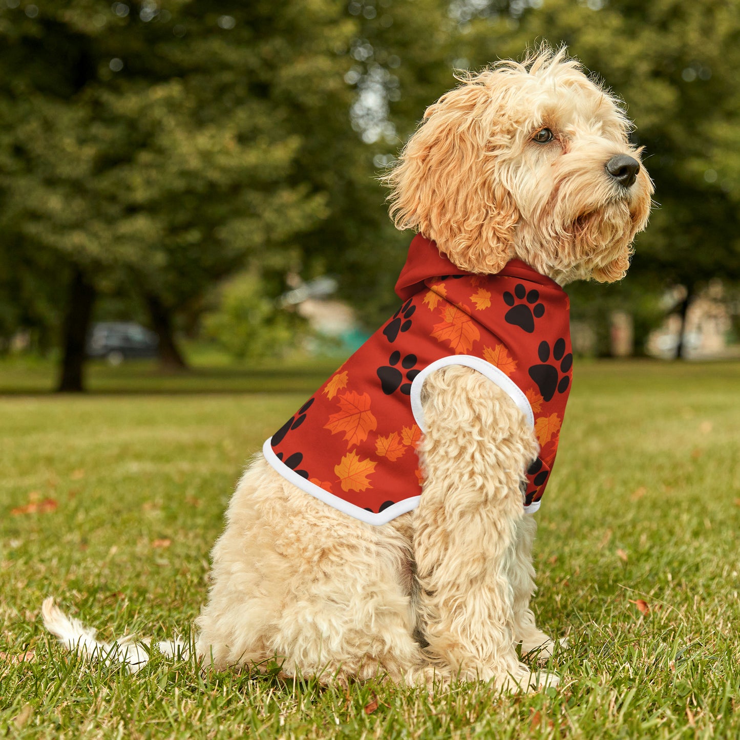 Dog Hoodie - Fall Collection (Dark Orange - with Dark Orange Hood)