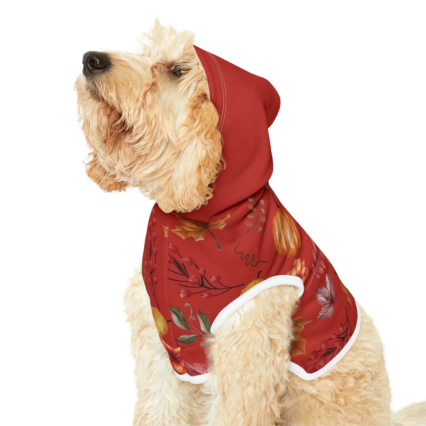 Dog Hoodie - Fall Collection (Fall 5 - With Maroon Hood)