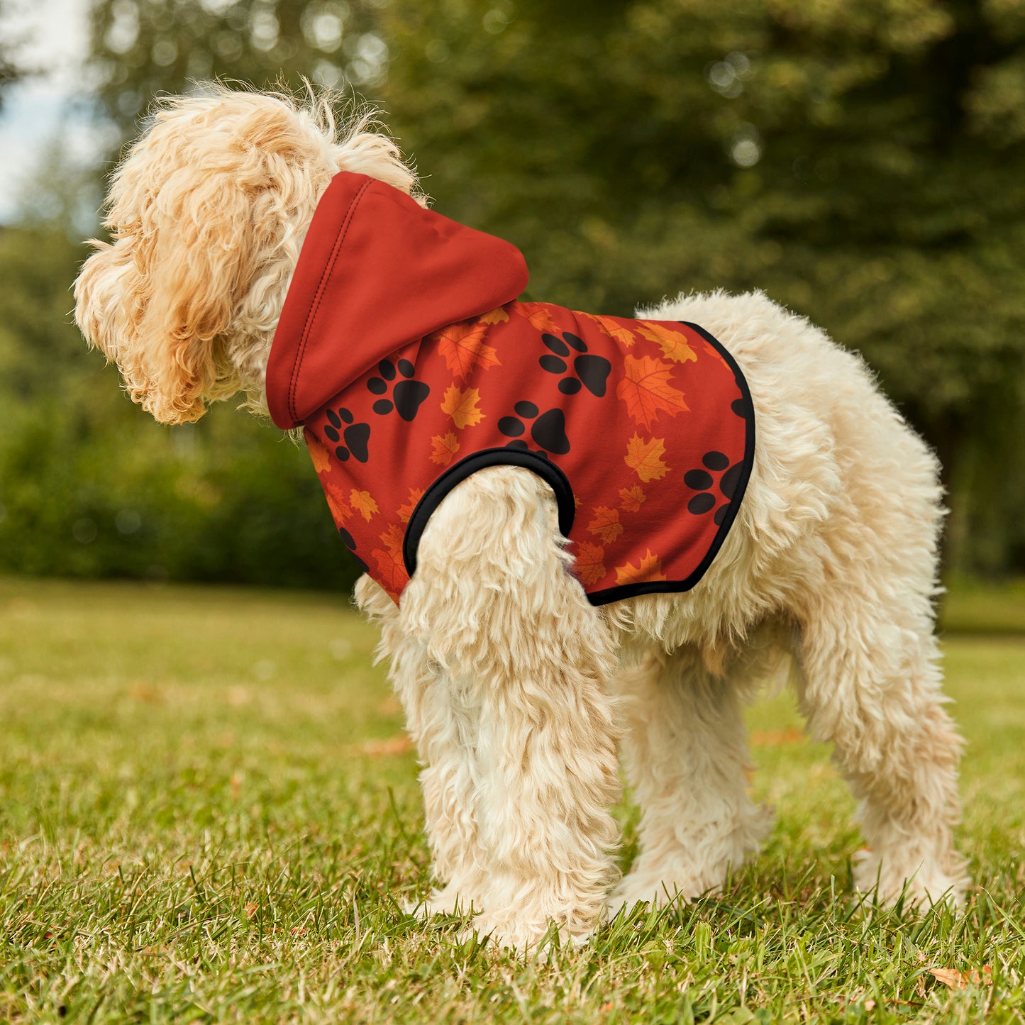 Dog Hoodie - Fall Collection (Dark Orange - with Dark Orange Hood)