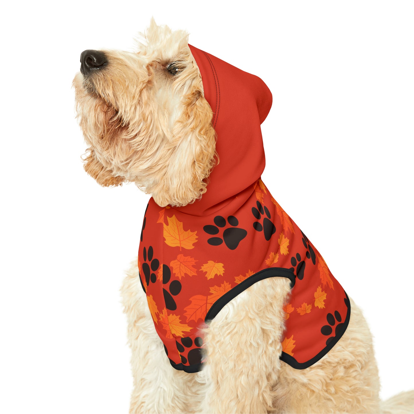 Dog Hoodie - Fall Collection (Dark Orange - with Dark Orange Hood)