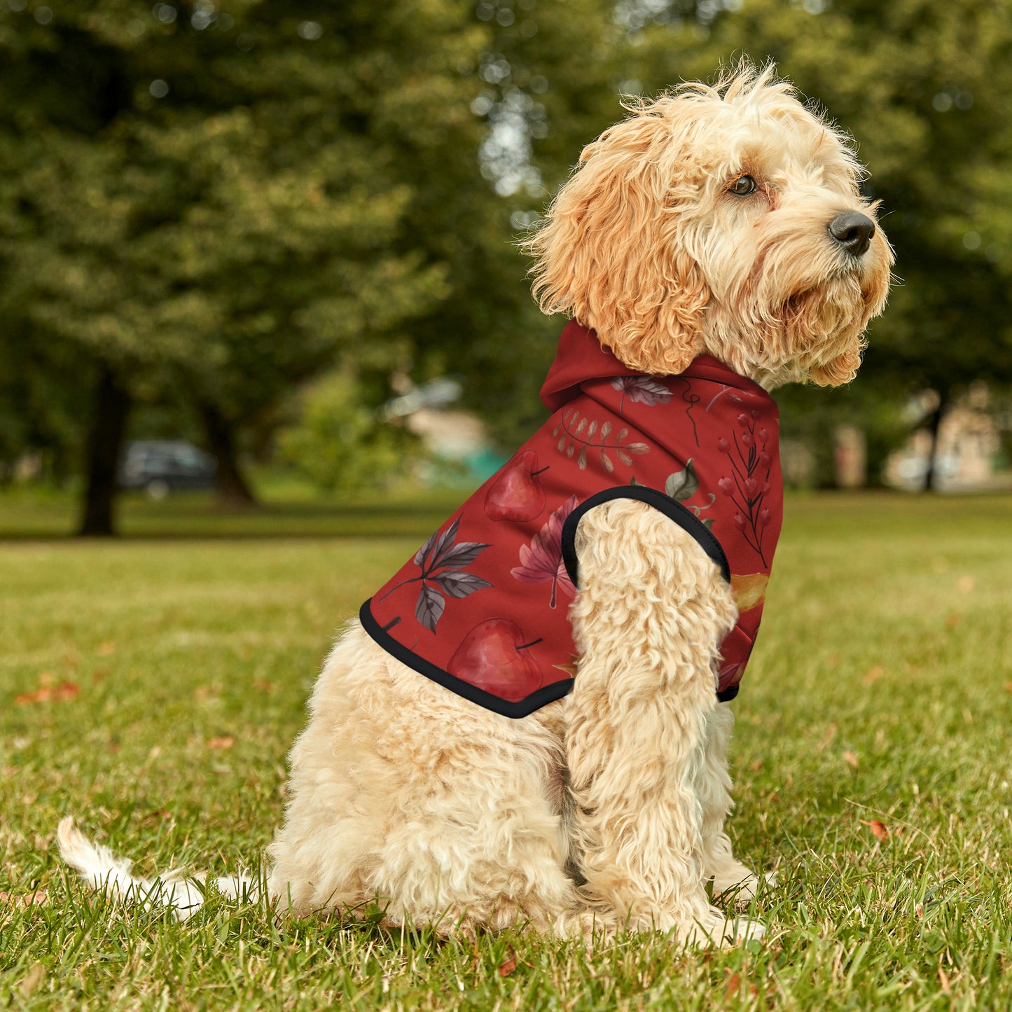 Dog Hoodie - Fall Collection (Fall 5 - With Maroon Hood)