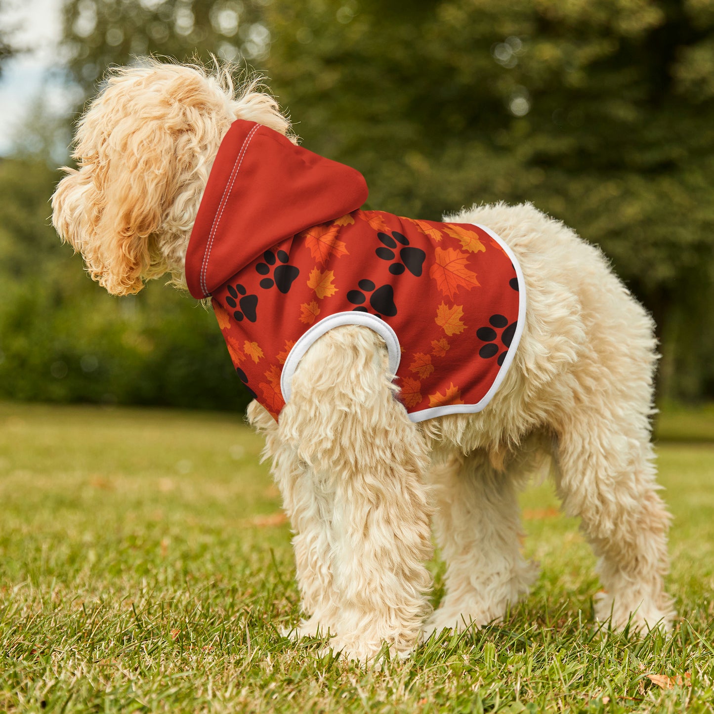 Dog Hoodie - Fall Collection (Dark Orange - with Dark Orange Hood)