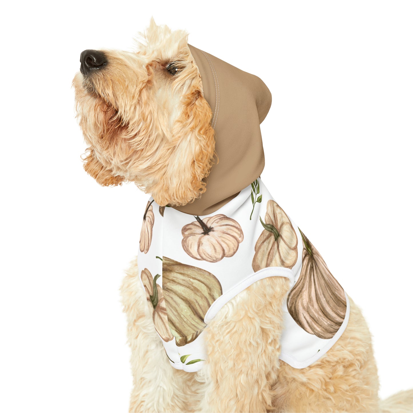 Dog Hoodie - Fall Collection (Fall 4 - With Dusty Rose Hood)