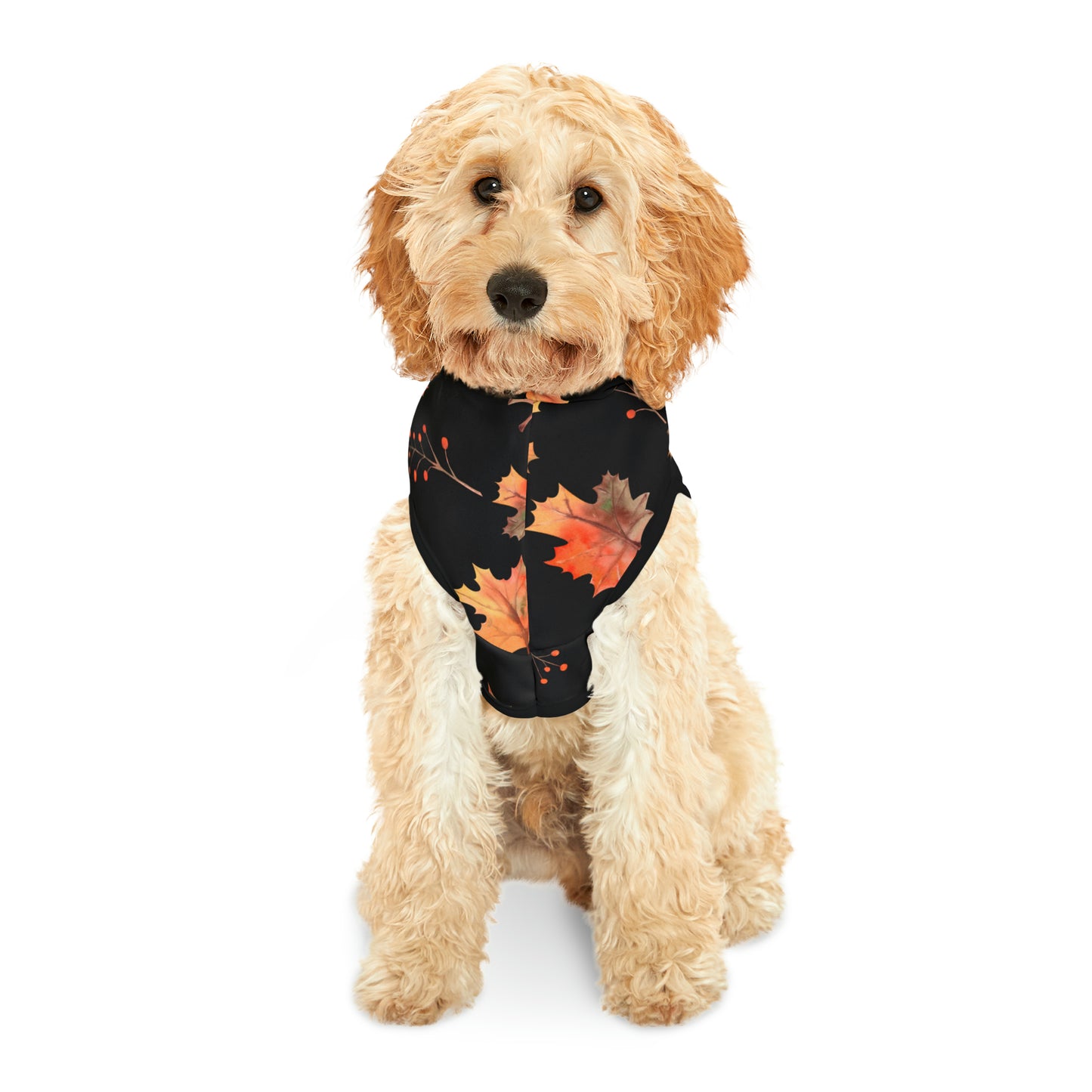 Dog Hoodie - Fall Collection (Fall 2)