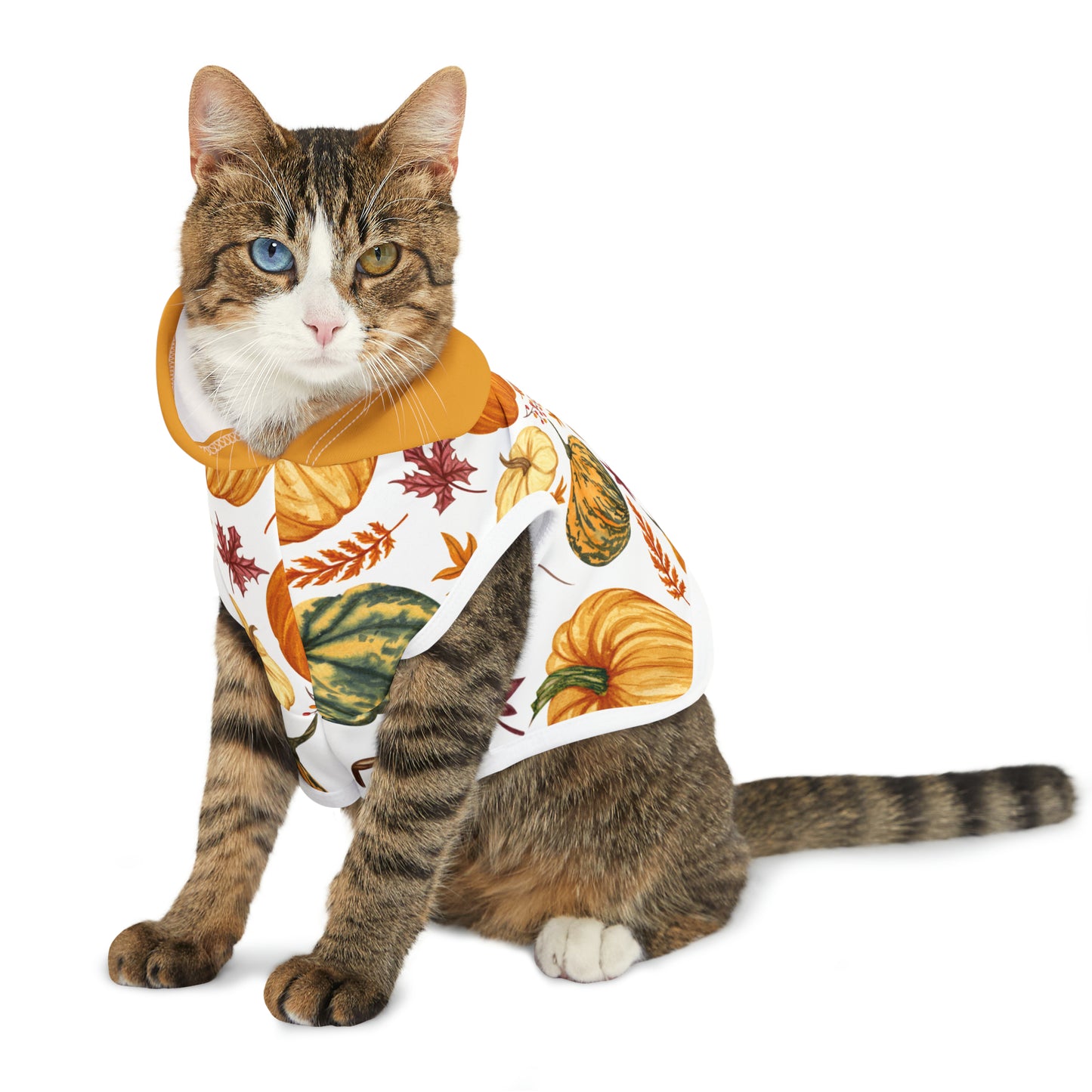 Cat Hoodie - Fall Collection (Fall 3 - With Yellow Hood)