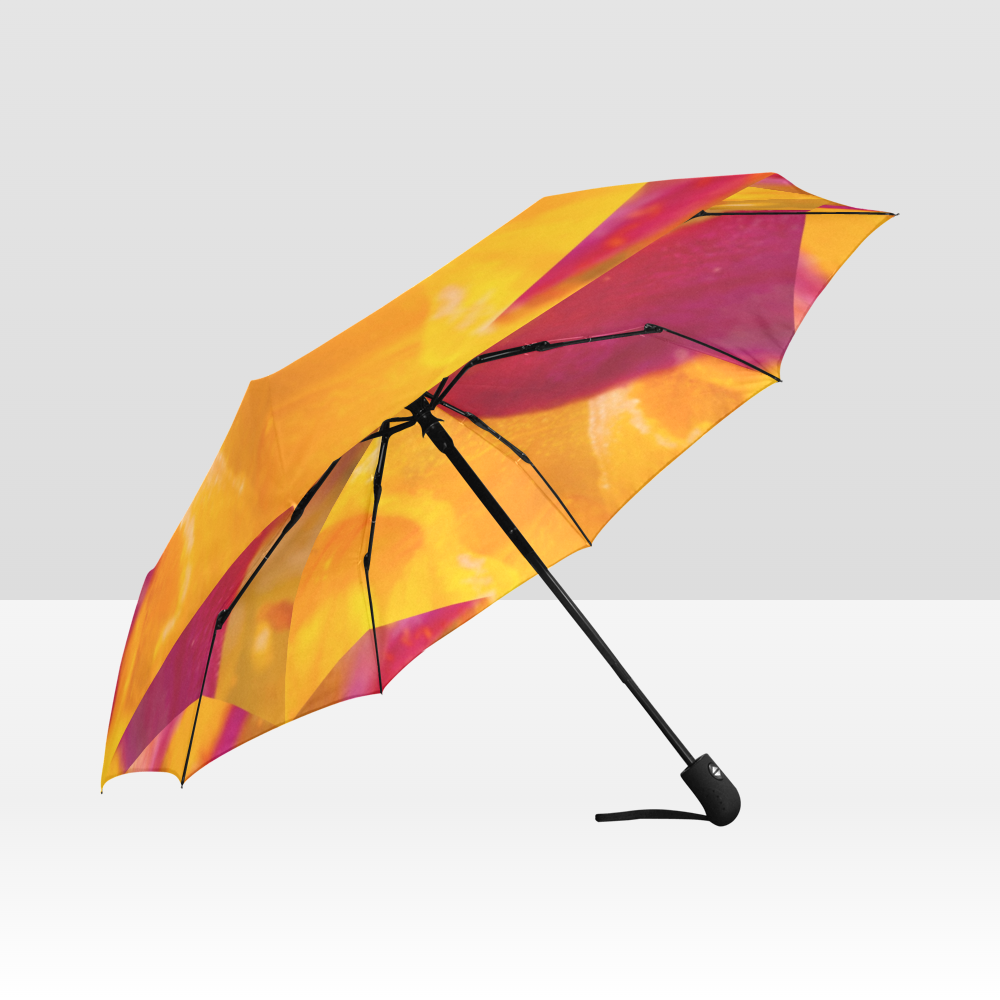 Fuschia and Gold Delight Umbrella